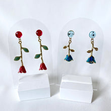 Load image into Gallery viewer, Enchanted Corella