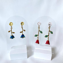 Load image into Gallery viewer, Enchanted Corella